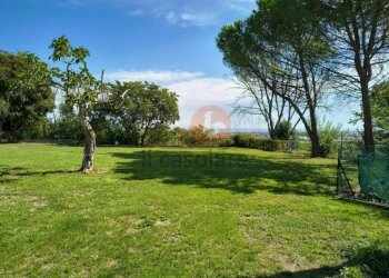 Terreno - Rustico via di Villa Giulia, Fano - foto 10