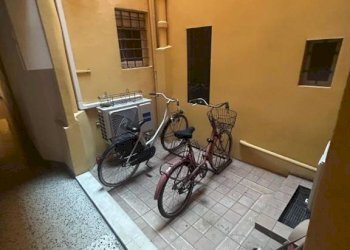 Cortile interno - Monolocale via Arienti, Bologna (zona Colli) - foto 19