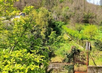 Terreno - Casa indipendente via Guglielmo Marconi, 138, Trecchina - foto 36