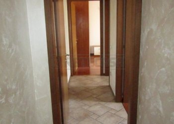 IMG_9063 - Appartamento Borgoricco - foto 5