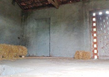Rif 1790 (3).jpg - Casa indipendente Frazione Cimaferle 34, Ponzone - foto 3