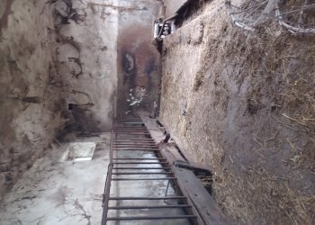 Rif 1790 (6).jpg - Casa indipendente Frazione Cimaferle 34, Ponzone - foto 6