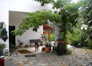 viti011 (1).jpg - Casale via delle ginestre  3, Cartosio - foto 16