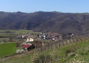 viti012.jpg - Casale via delle ginestre  3, Cartosio - foto 18