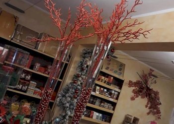 FB_IMG_1559546829721.jpg - Food - Gastronomy Cairo Montenotte - photo 3