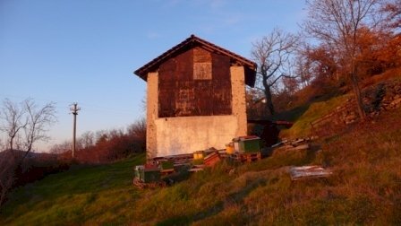 Rif 313 3.JPG - Warehouse Malvicino - photo 3