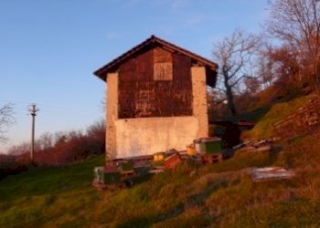 Rif 313 3.JPG - Warehouse Malvicino - photo 3