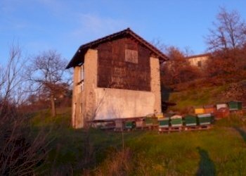 Rif 313 5.JPG - Warehouse Malvicino - photo 5