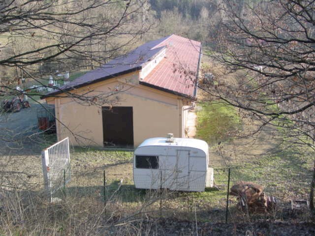 Lilli.jpg - Agriturismo Pareto - foto 1