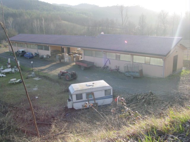 Maneggio Lilli 1.jpg - Agriturismo Pareto - foto 2