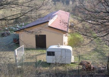 Lilli.jpg - Agriturismo Pareto - foto 1