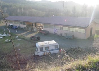 Maneggio Lilli 1.jpg - Agriturismo Pareto - foto 2