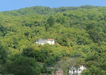 IMG20260711112233 - Casa indipendente Via Gino Pellegrini 14, Varazze - foto 3