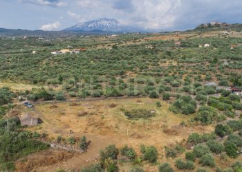 DJI_0750 - Terreno agricolo Via San Leo, Adrano - foto 7