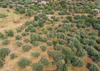 DJI_0751 - Terreno agricolo Via San Leo, Adrano - foto 8