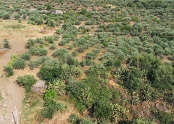 DJI_0753 - Terreno agricolo Via San Leo, Adrano - foto 10