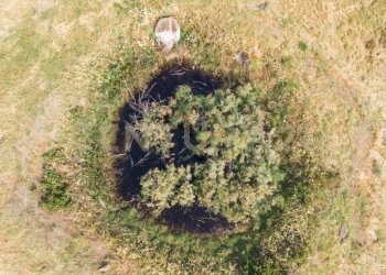 DJI_0755 - Terreno agricolo Via San Leo, Adrano - foto 12