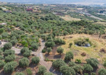 DJI_0757 - Terreno agricolo Via San Leo, Adrano - foto 14