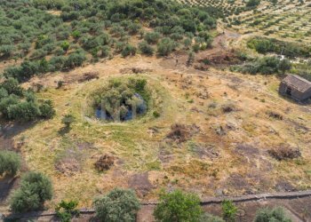 DJI_0758 - Terreno agricolo Via San Leo, Adrano - foto 2