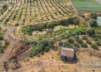 DJI_0759 - Terreno agricolo Via San Leo, Adrano - foto 15