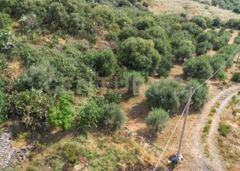 DJI_0762 - Terreno agricolo Via San Leo, Adrano - foto 18