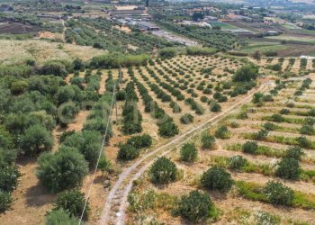 DJI_0763 - Terreno agricolo Via San Leo, Adrano - foto 19