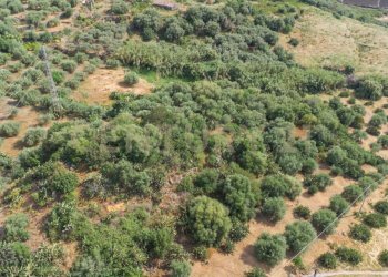 DJI_0764 - Terreno agricolo Via San Leo, Adrano - foto 20