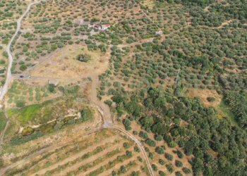 DJI_0766 - Terreno agricolo Via San Leo, Adrano - foto 22