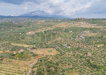 DJI_0767 - Terreno agricolo Via San Leo, Adrano - foto 23