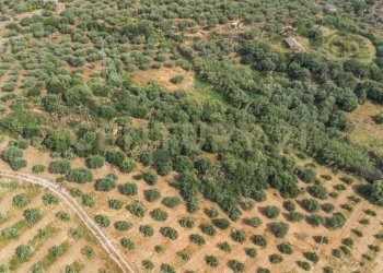 DJI_0769 - Terreno agricolo Via San Leo, Adrano - foto 25