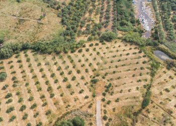 DJI_0770 - Terreno agricolo Via San Leo, Adrano - foto 26