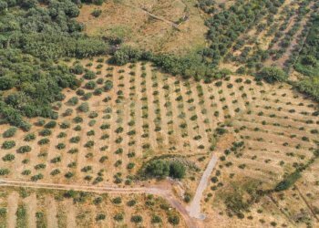 DJI_0771 - Terreno agricolo Via San Leo, Adrano - foto 27