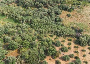 DJI_0773 - Terreno agricolo Via San Leo, Adrano - foto 29