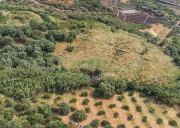 DJI_0774 - Terreno agricolo Via San Leo, Adrano - foto 30