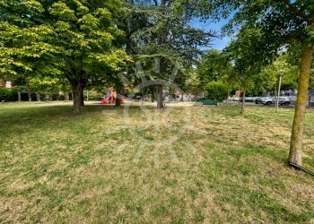 Appartamento Castel San Pietro Terme - foto 4