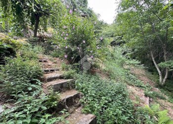 Casa indipendente Borgata benna, Giaveno - foto 40