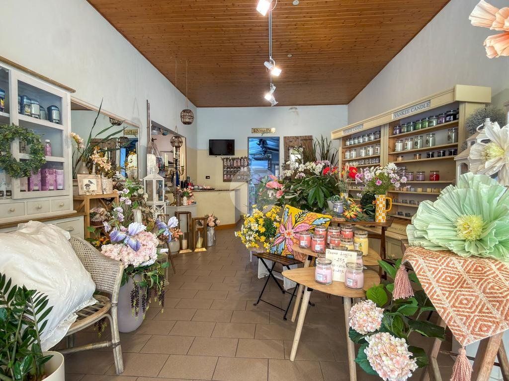 Negozio Via Raffaello Bucci, Morciano di Romagna - foto 1