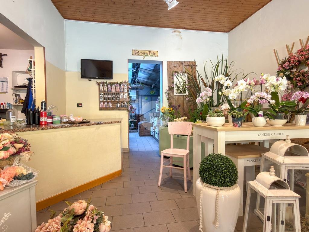 Negozio Via Raffaello Bucci, Morciano di Romagna - foto 3