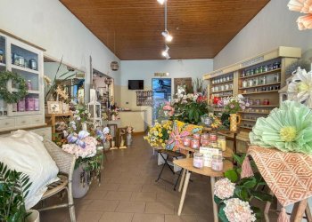 Negozio Via Raffaello Bucci, Morciano di Romagna - foto 1