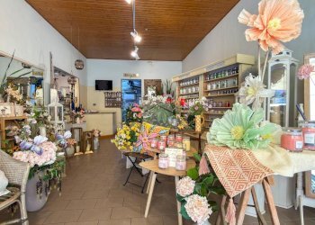 Negozio Via Raffaello Bucci, Morciano di Romagna - foto 2
