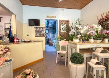 Negozio Via Raffaello Bucci, Morciano di Romagna - foto 3