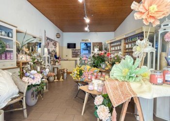Negozio Via Raffaello Bucci, Morciano di Romagna - foto 4