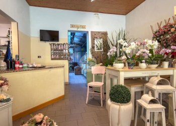 Negozio Via Raffaello Bucci, Morciano di Romagna - foto 5