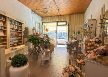 Negozio Via Raffaello Bucci, Morciano di Romagna - foto 6