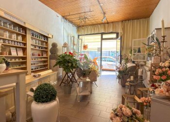 Negozio Via Raffaello Bucci, Morciano di Romagna - foto 7