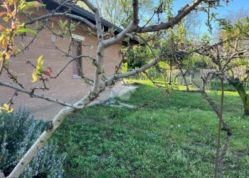 Villa Via porta pia, Cuceglio - foto 17