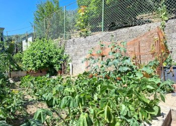 Porzione di casa via delle rovere, Avegno - foto 34