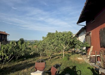 Giardino - Casa semi indipendente SP159, 8, Lequio Tanaro - foto 7