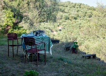 Foto 9 - Casa indipendente Strada Provinciale, Dolceacqua - foto 9