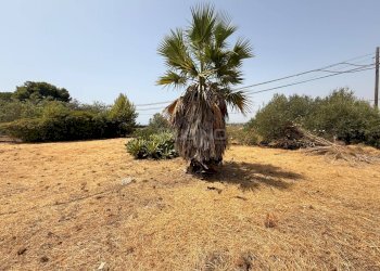 Foto 4 - Terreno edificabile PLEMMIRIO, Siracusa - foto 4